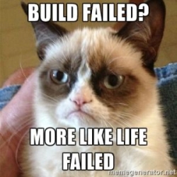 Build Failed - Grumpy cat
