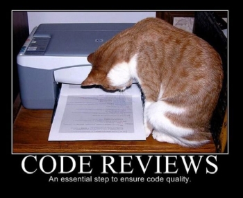 lolcat code reviews